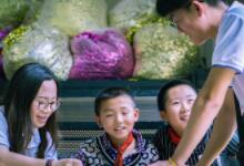 小学阶段,家长如何辅导孩子学习的关键6字秘诀-贝叔育儿-陪伴成长