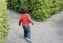 怎么样才能培养幼儿童的耐心?从小就陪孩子一起玩这5类游戏!-贝叔育儿-陪伴成长